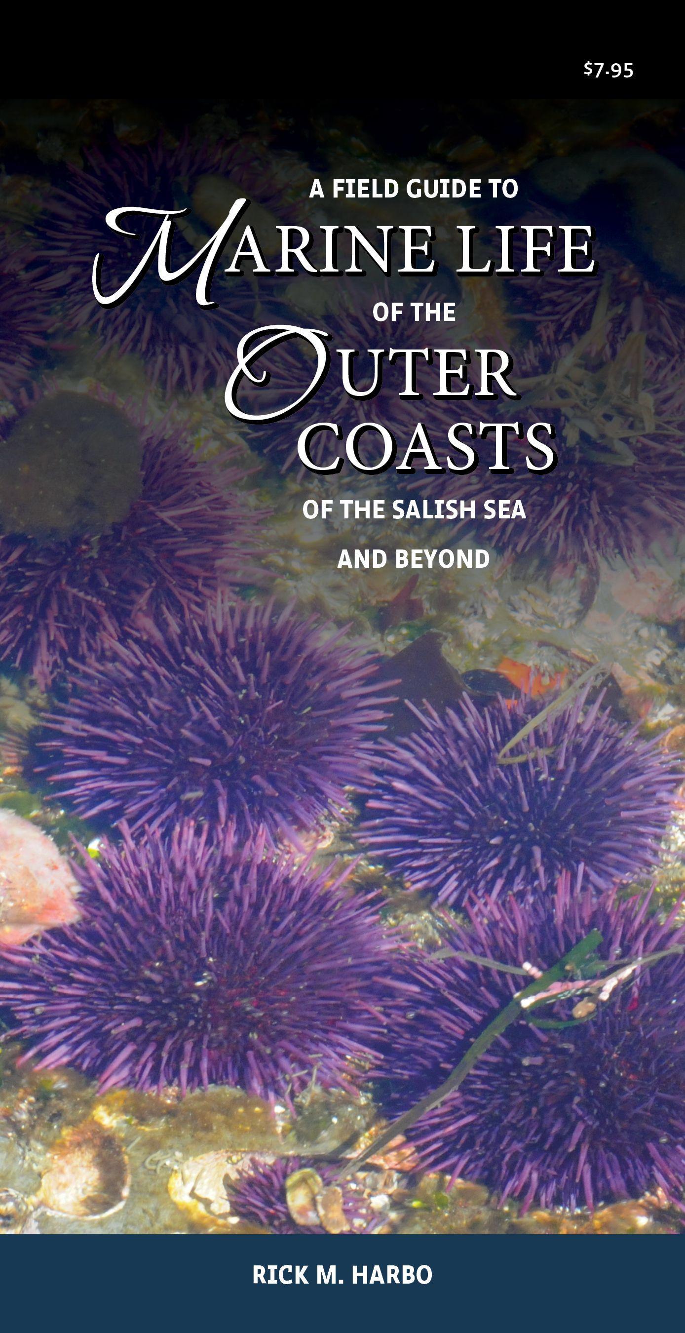 Vorderes Coverbild A Field Guide to Marine Life of the Outer Coasts of the Salish Sea and Beyond