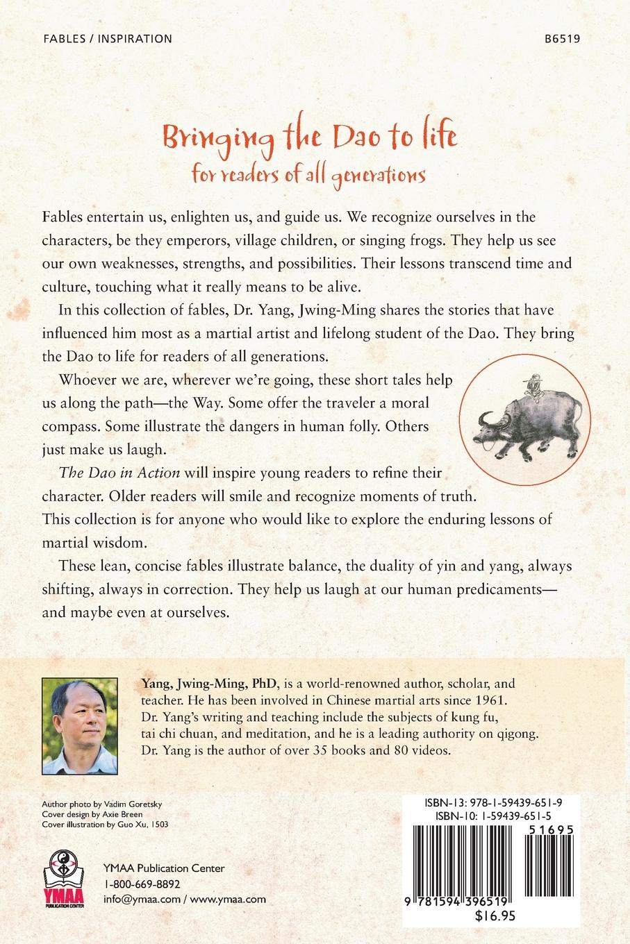 Rückseitencover The DAO in Action