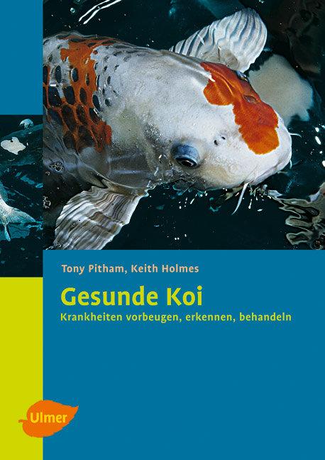 Vorderes Coverbild Gesunde Koi