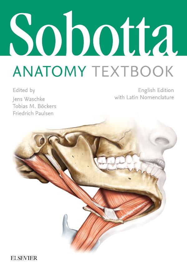 Vorderes Coverbild Sobotta Anatomy Textbook