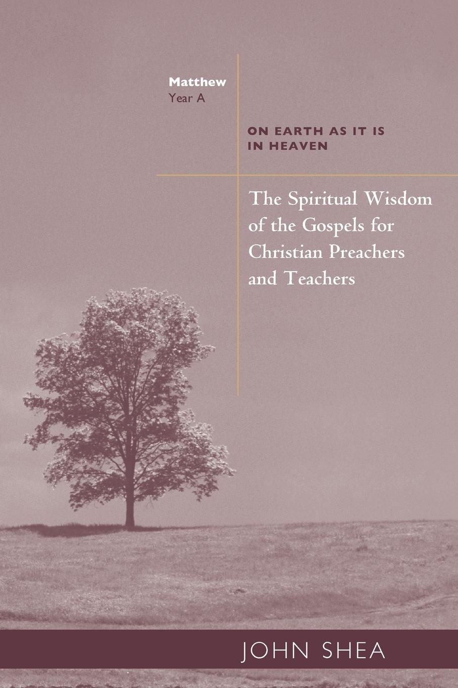 Vorderes Coverbild Spiritual Wisdom of the Gospels for Christian Preachers and Teachers