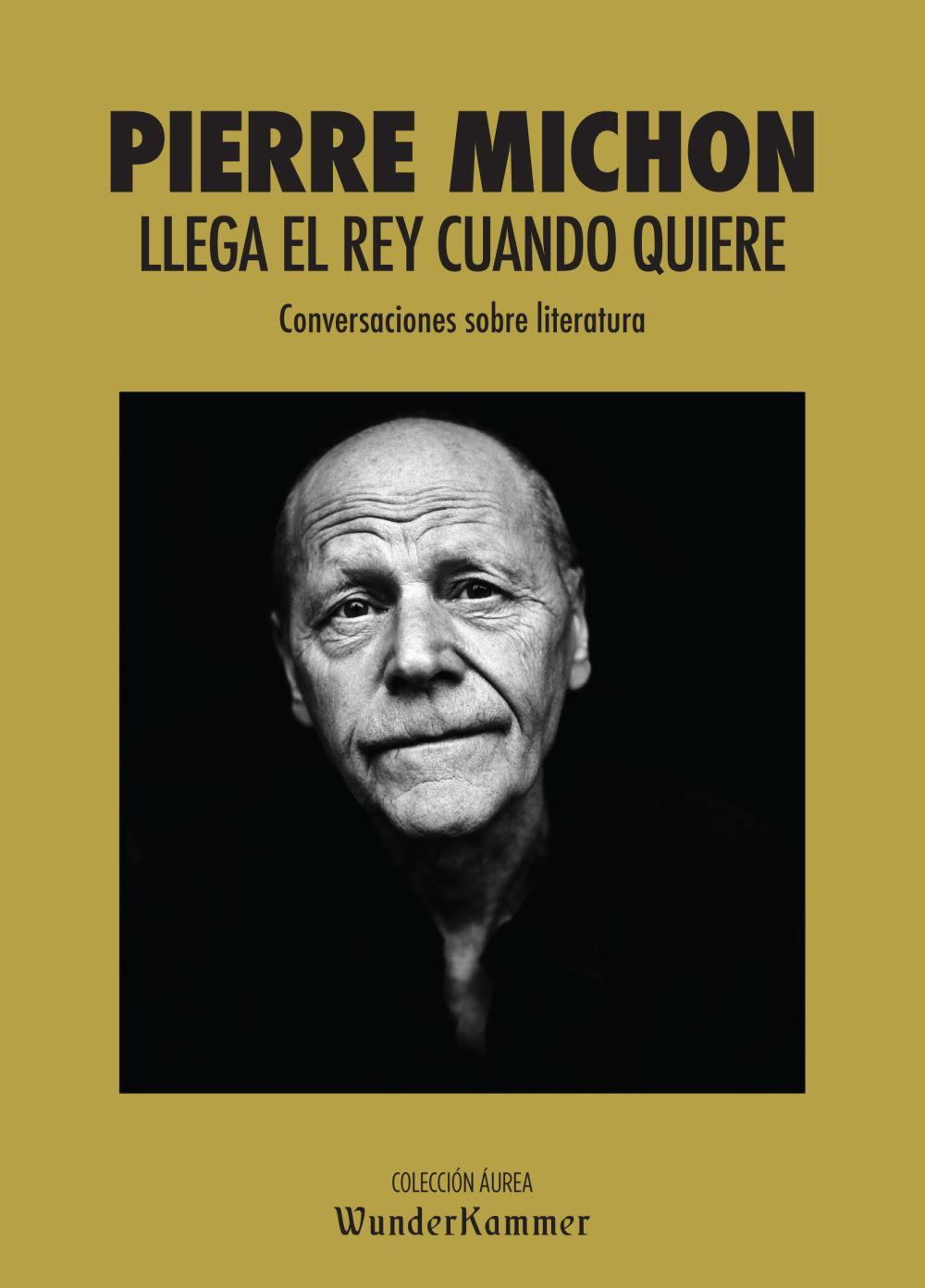 Vorderes Coverbild Llega el rey cuando quiere : conversaciones sobre literatura
