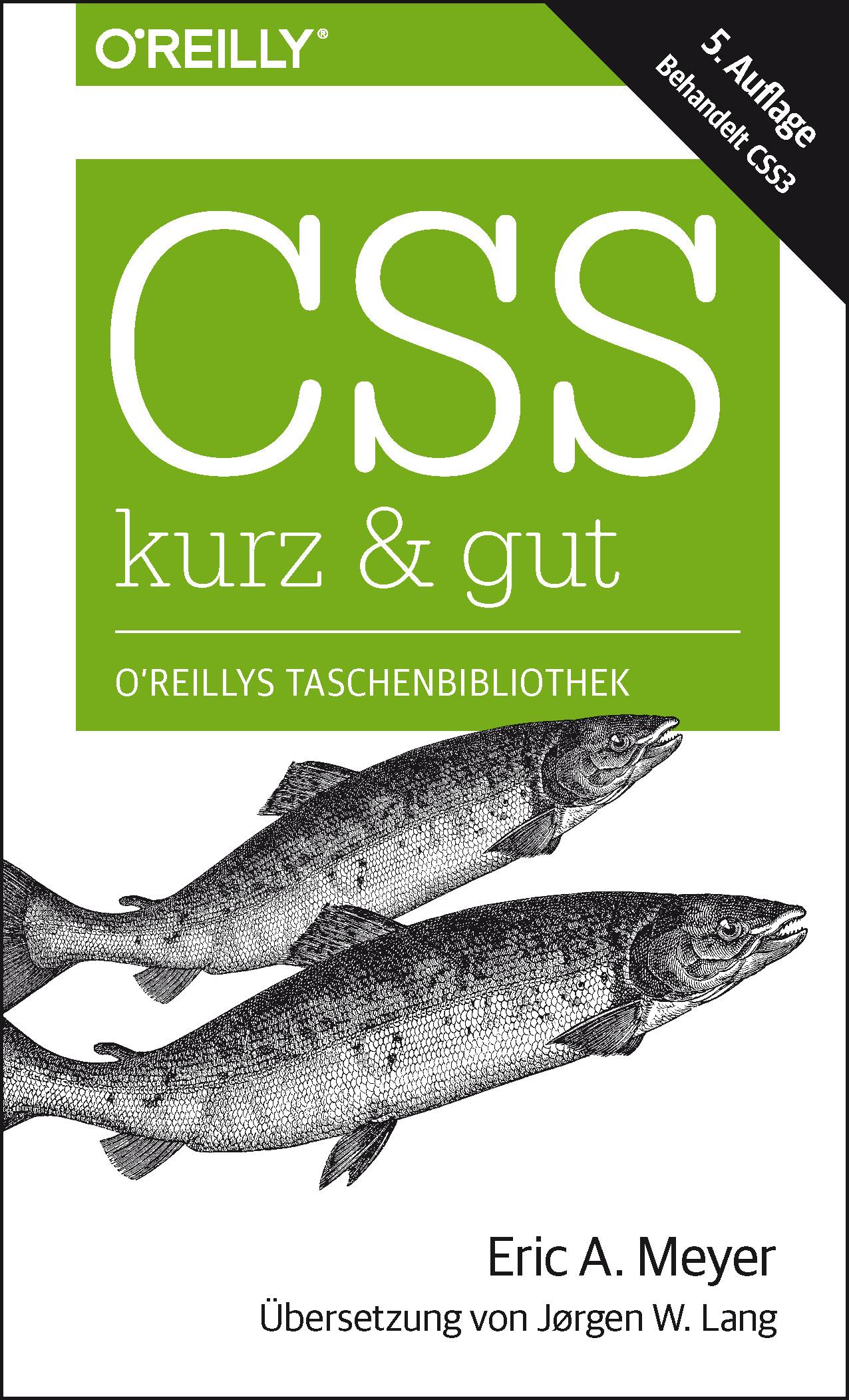 Vorderes Coverbild CSS - kurz & gut
