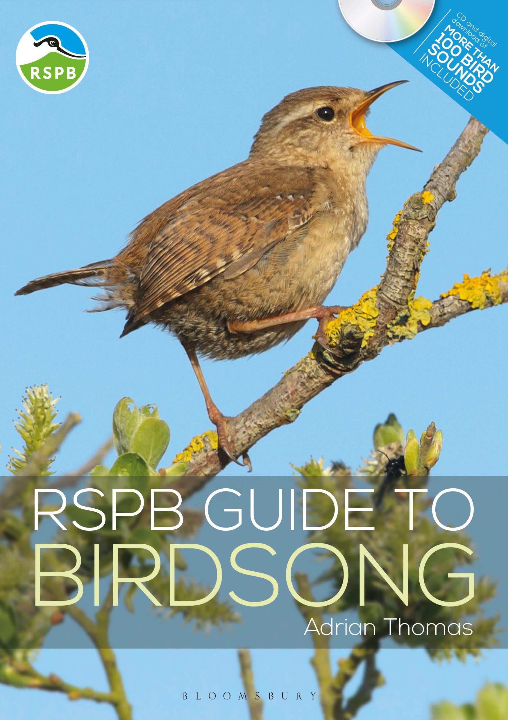 Vorderes Coverbild Rspb Guide to Birdsong