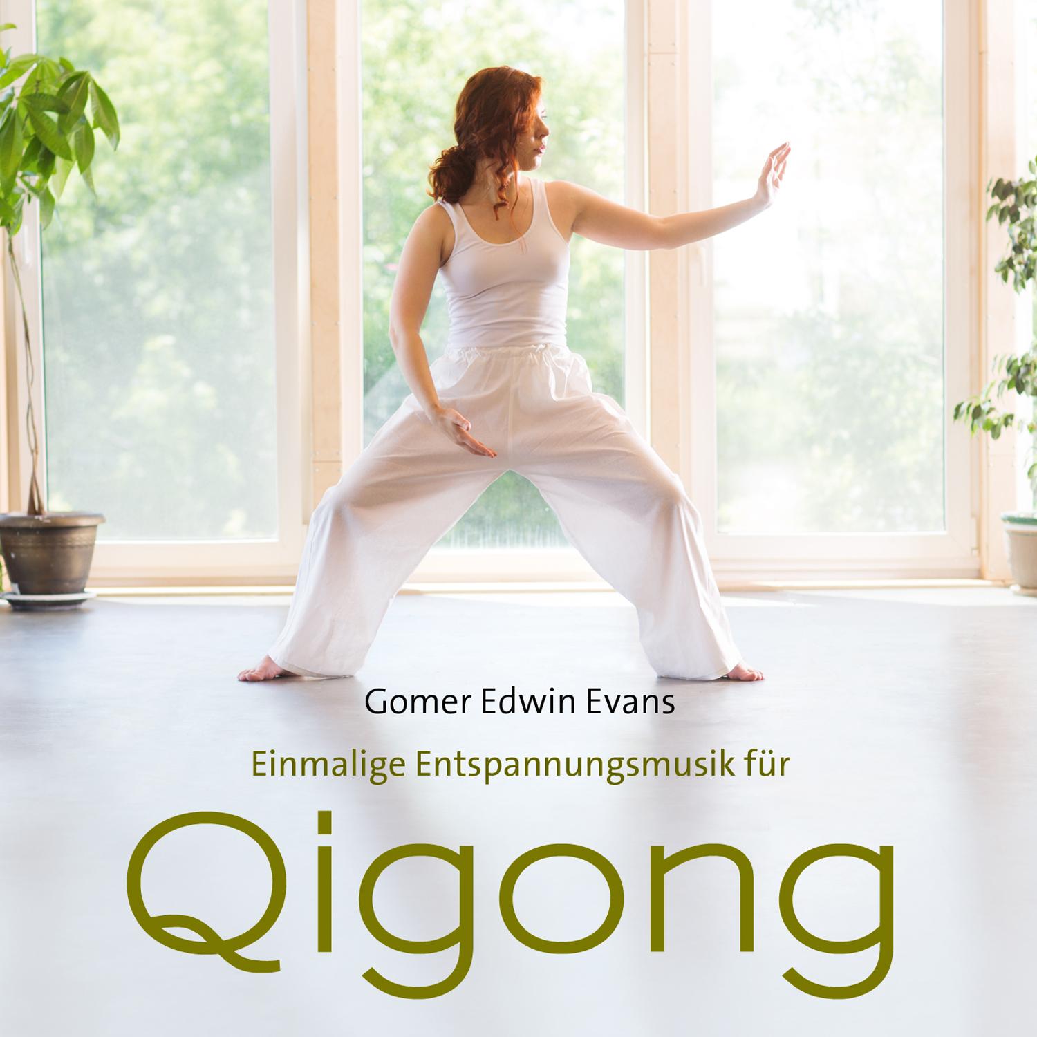 Vorderes Coverbild Qi Gong