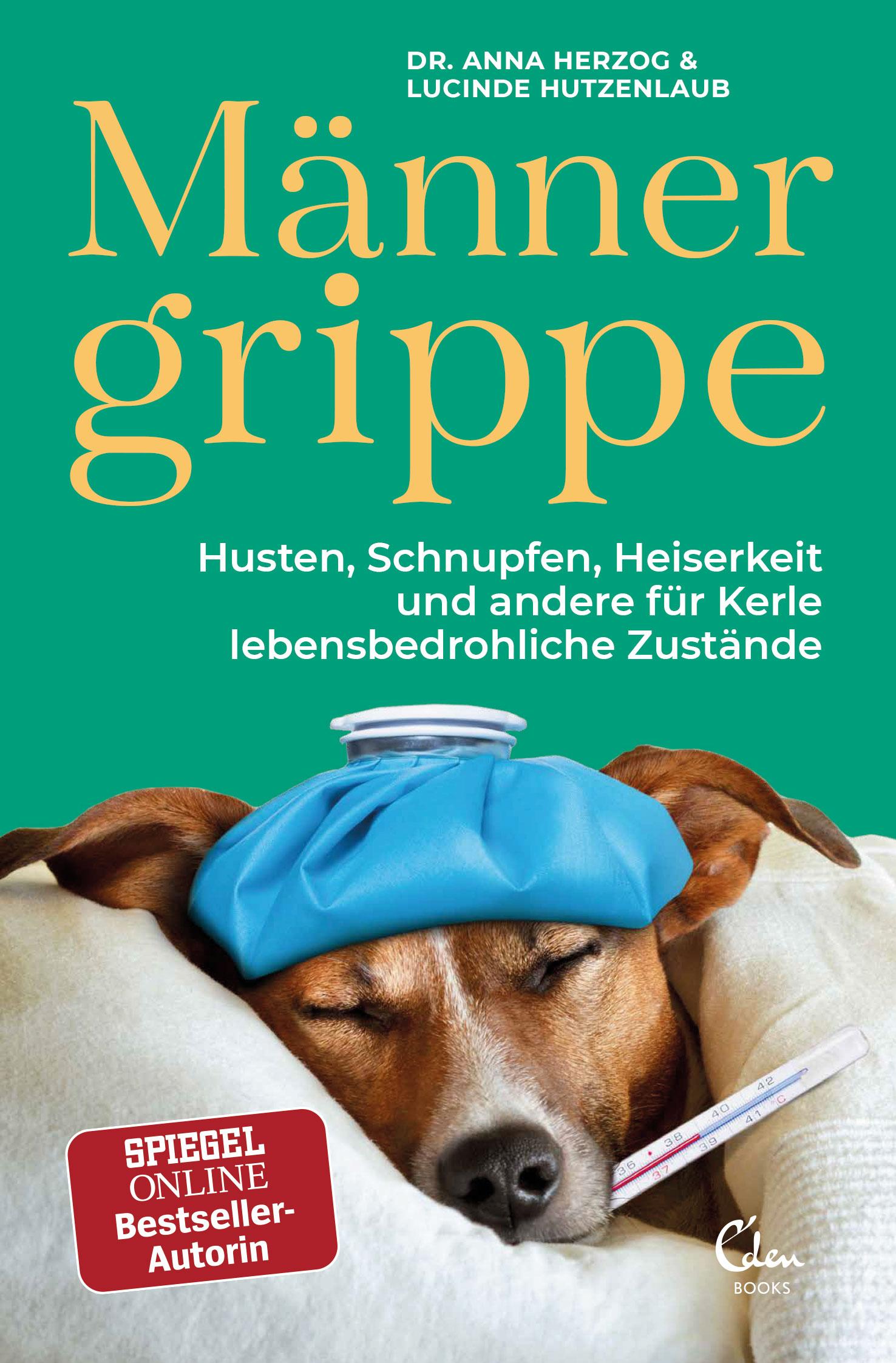 Vorderes Coverbild Männergrippe