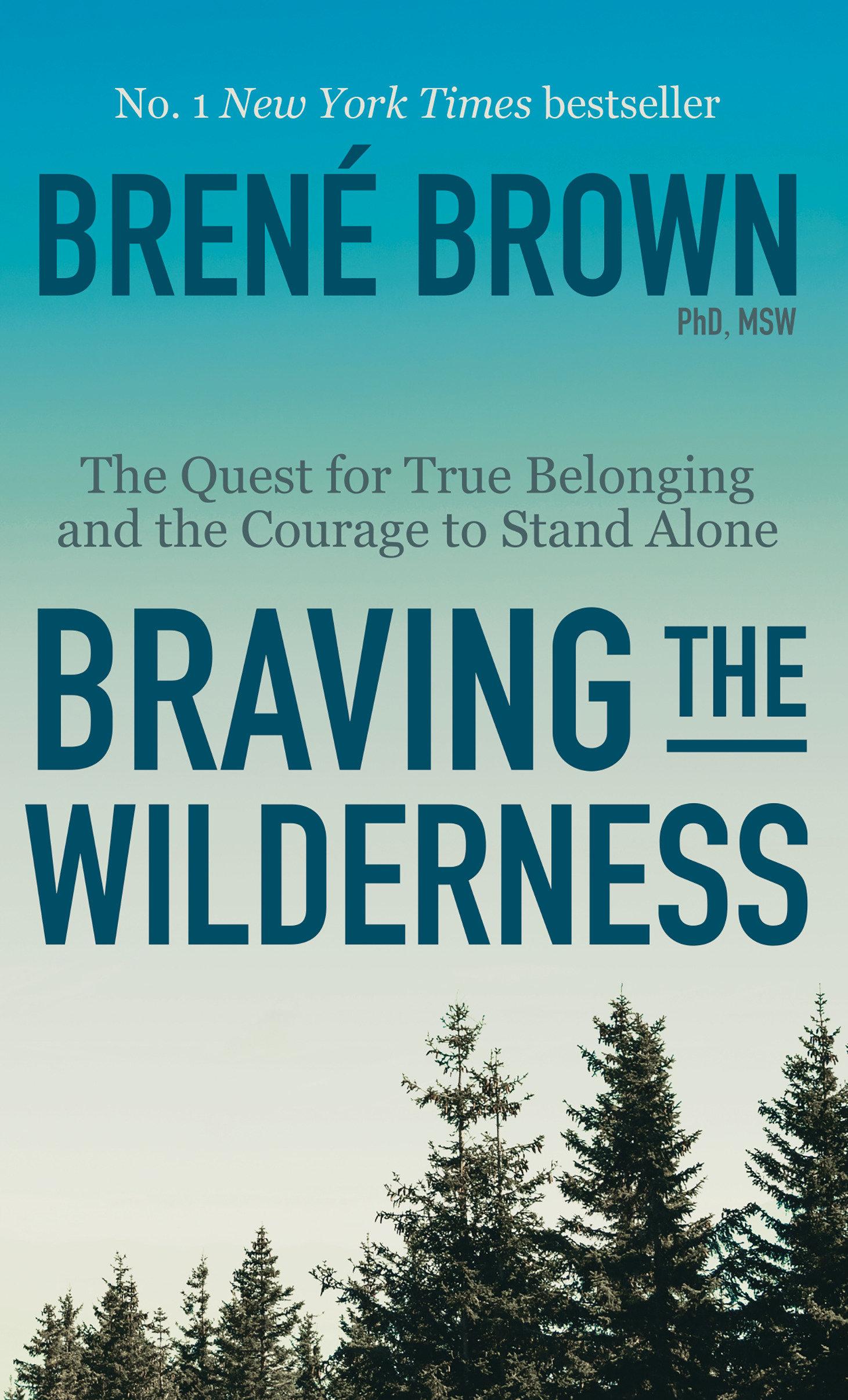 Vorderes Coverbild Braving the Wilderness