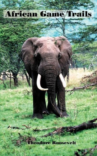 Vorderes Coverbild African Game Trails