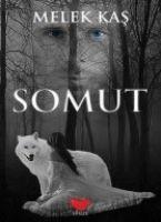 Vorderes Coverbild Kapiya Not Biraktim