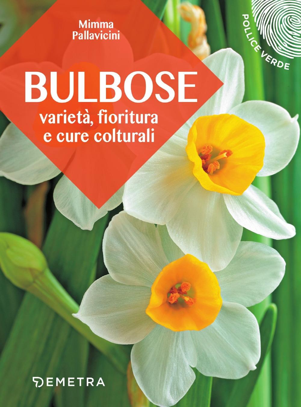 Vorderes Coverbild Bulbose. Varietà, fioritura e cure colturali
