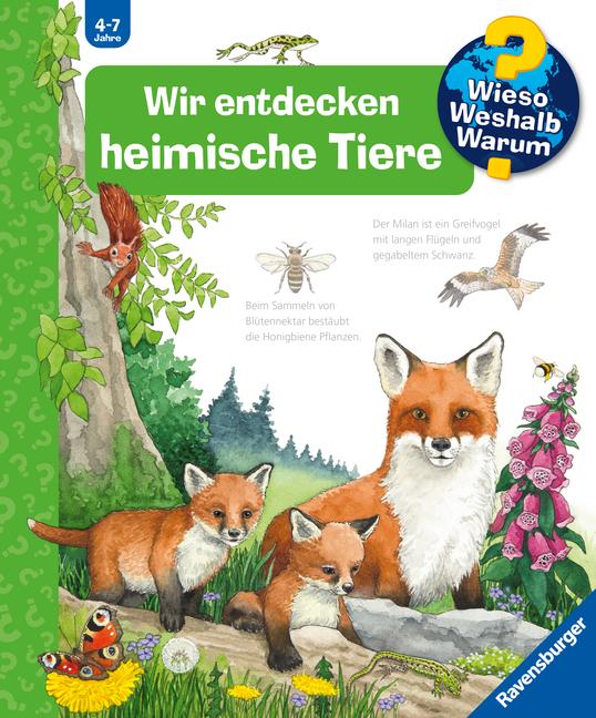 Vorderes Coverbild Wieso? Weshalb? Warum?, Band 71: Wir entdecken heimische Tiere