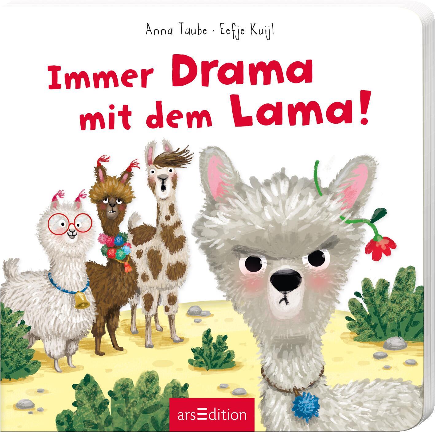 Vorderes Coverbild Immer Drama mit dem Lama