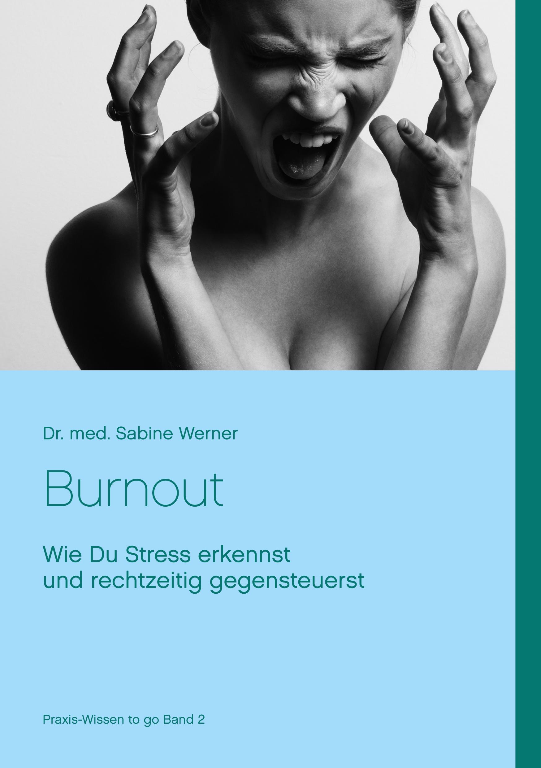 Vorderes Coverbild Burnout vermeiden