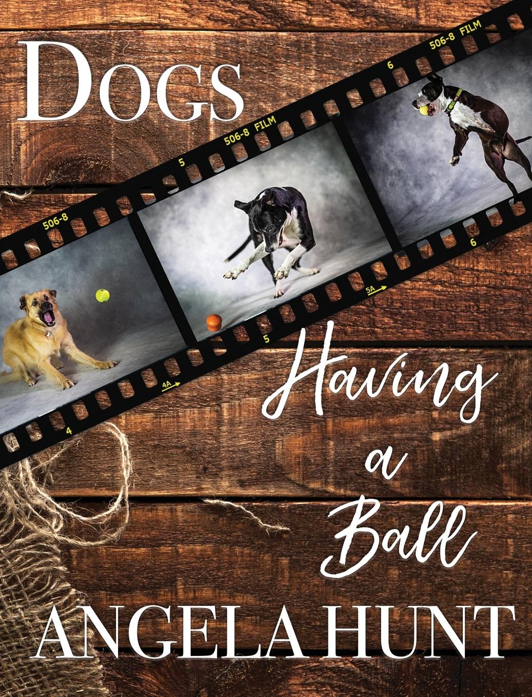Vorderes Coverbild Dogs Having a Ball