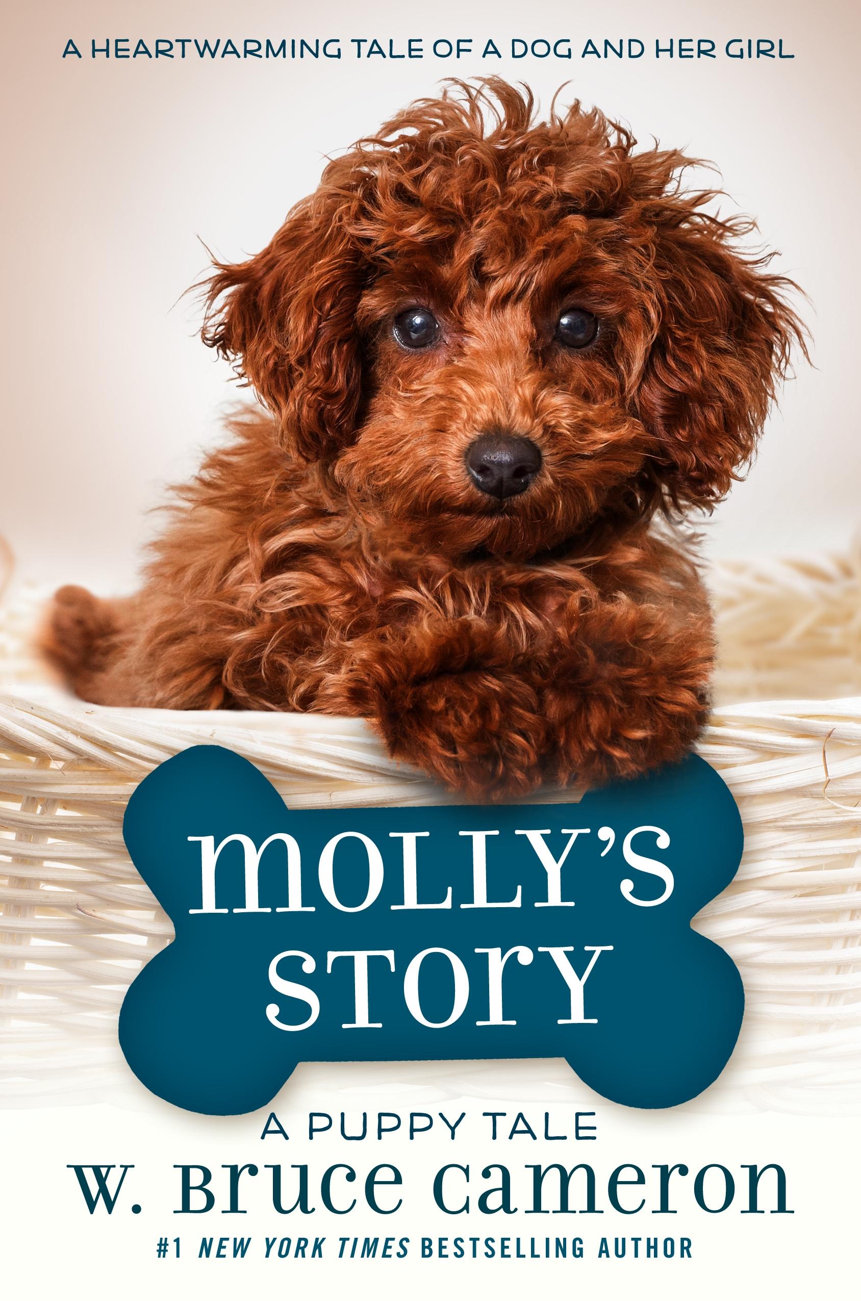 Vorderes Coverbild Molly's Story