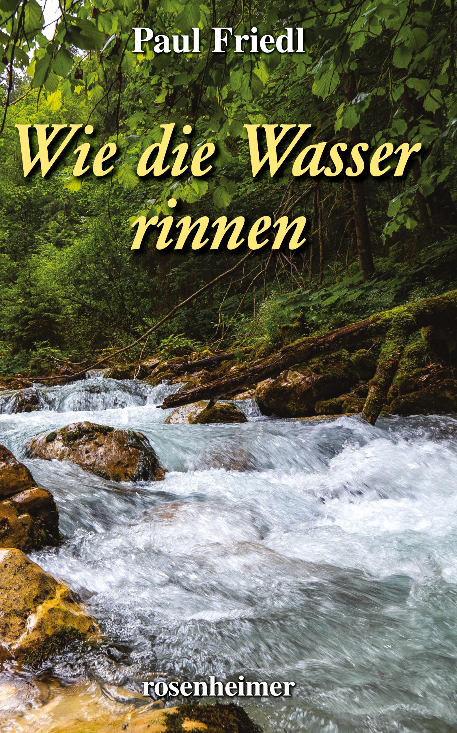 Vorderes Coverbild Wie die Wasser rinnen