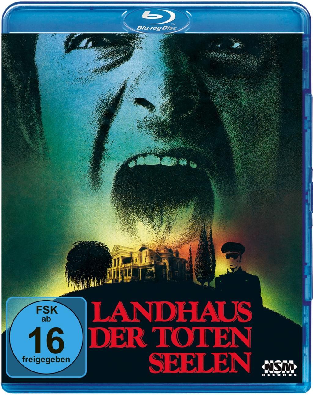 Vorderes Coverbild Landhaus der toten Seelen