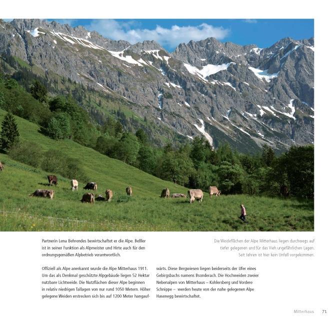 Beispielinhalt (Bild) KÜHE. MENSCHEN. BERGE.