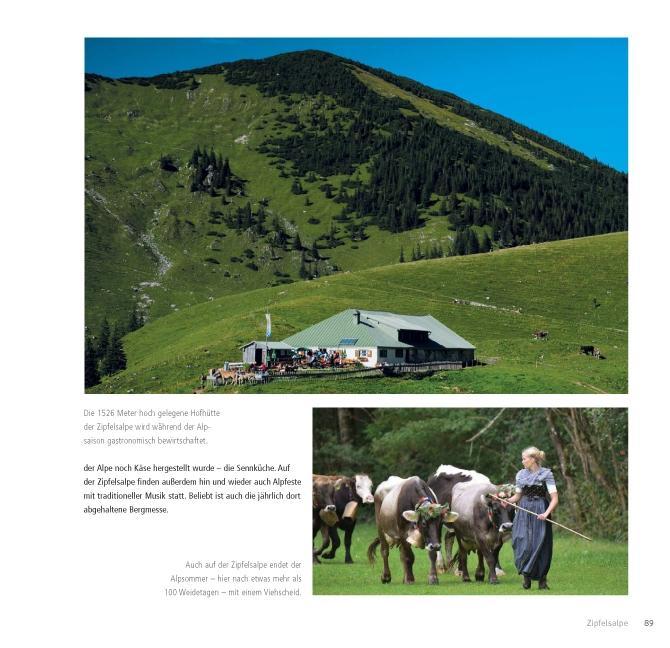 Beispielinhalt (Bild) KÜHE. MENSCHEN. BERGE.