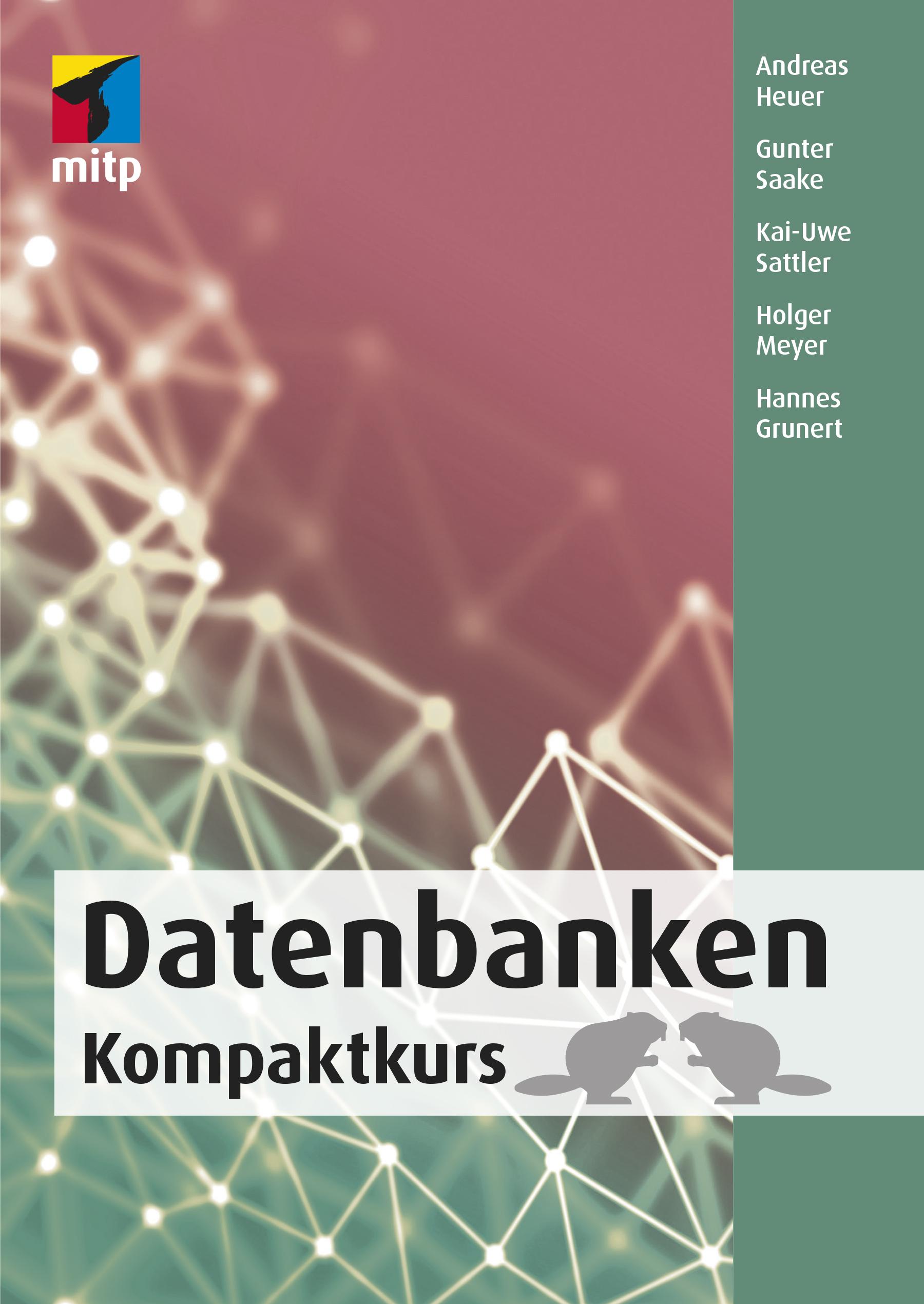 Vorderes Coverbild Datenbanken