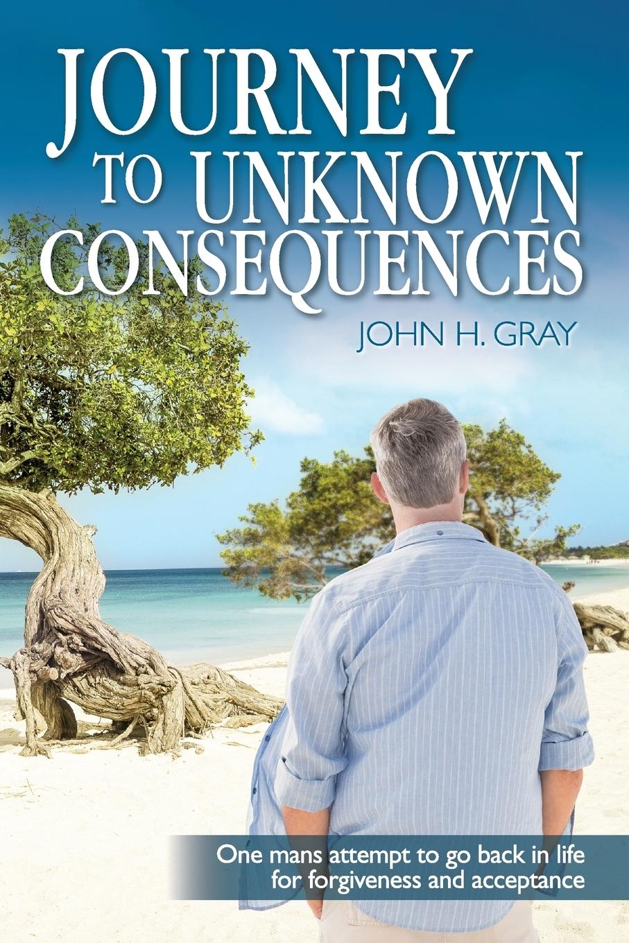 Vorderes Coverbild Journey to Unknown Consequences