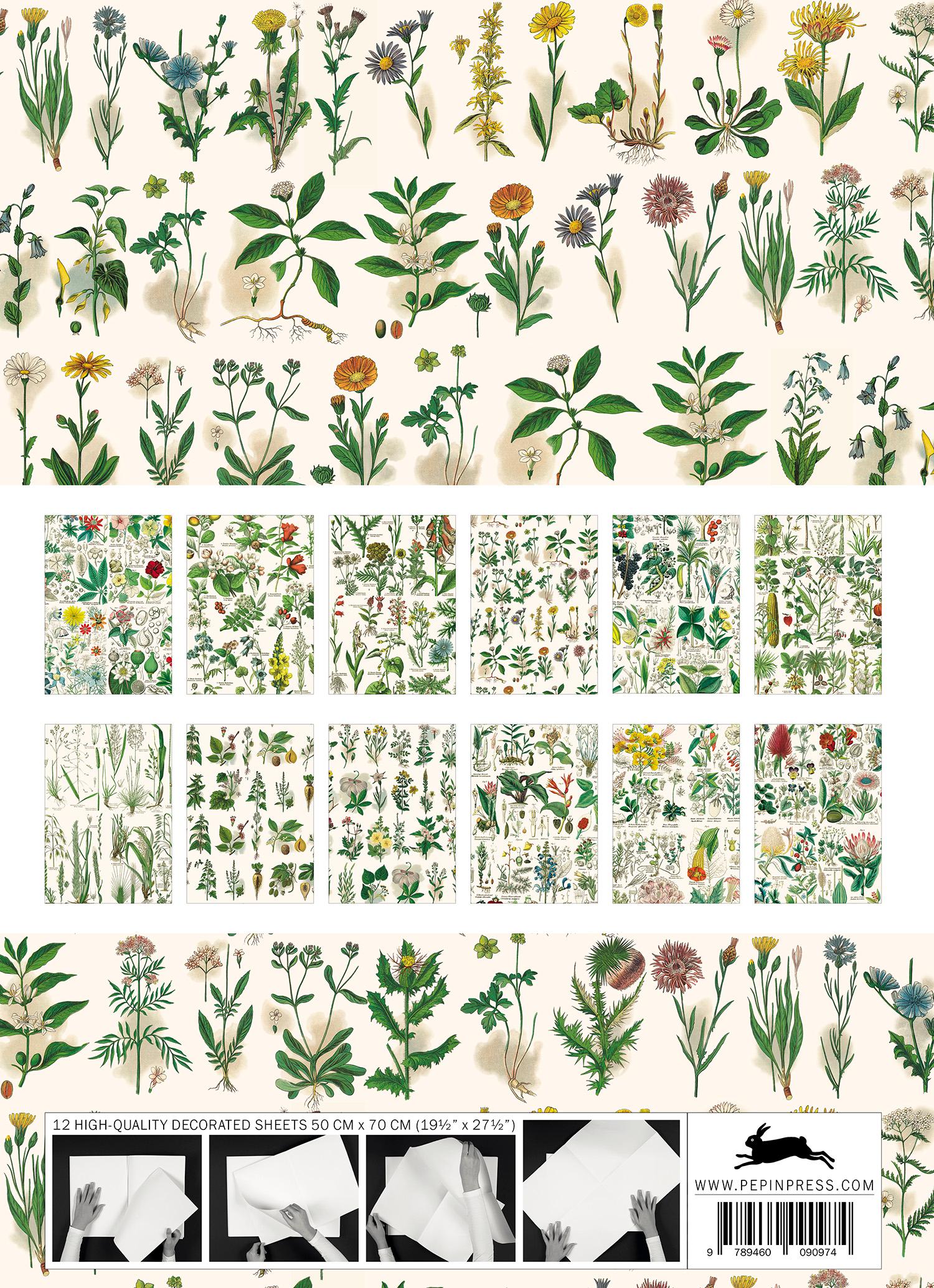 Beispielinhalt (Bild) Flora