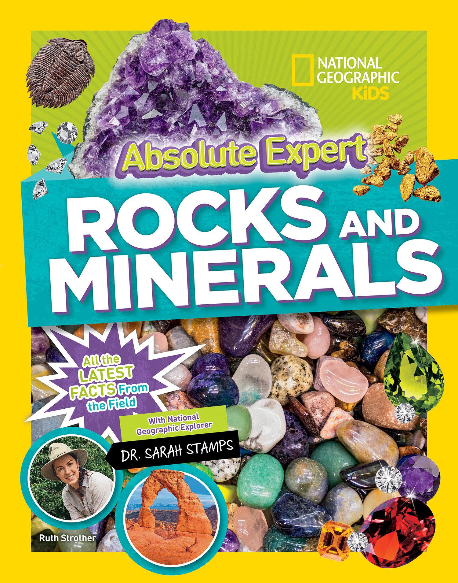 Vorderes Coverbild Absolute Expert: Rocks & Minerals
