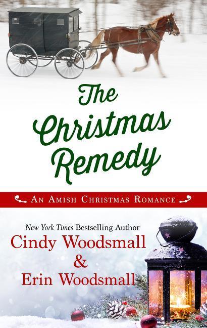 Vorderes Coverbild The Christmas Remedy