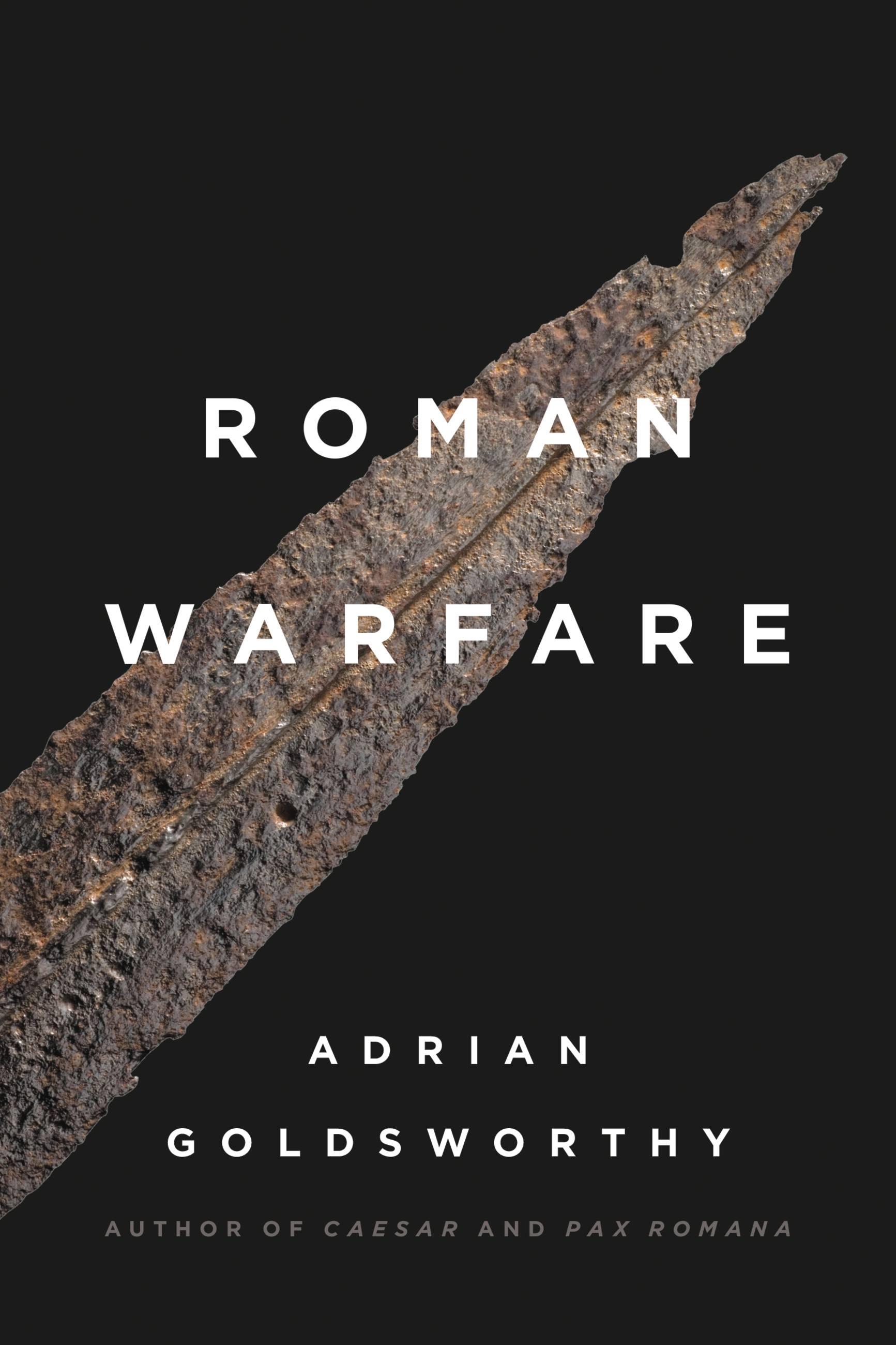 Vorderes Coverbild Roman Warfare