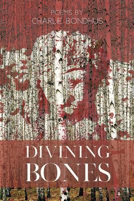 Vorderes Coverbild Divining Bones