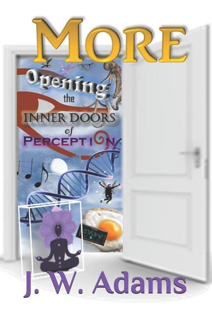 Vorderes Coverbild More: Opening the Inner Doors of Perception