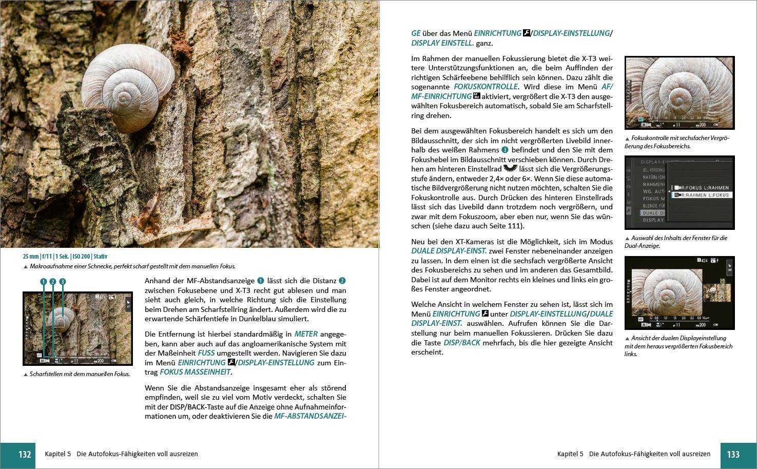 Beispielinhalt (Bild) Fujifilm X-T3