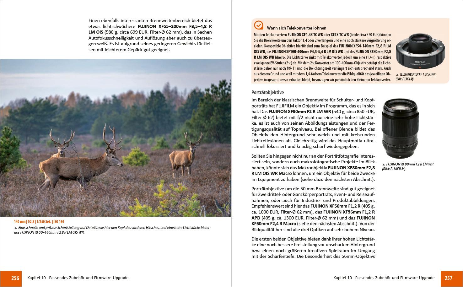 Beispielinhalt (Bild) Fujifilm X-T3