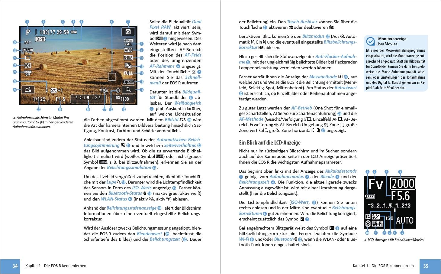 Beispielinhalt (Bild) Canon EOS R - Für bessere Fotos von Anfang an