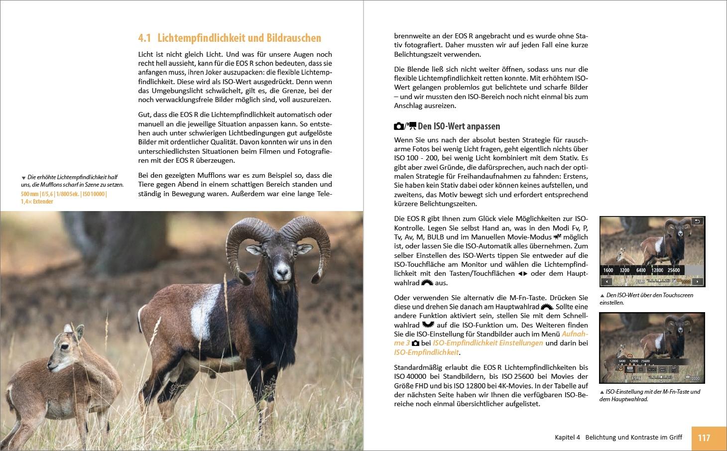 Beispielinhalt (Bild) Canon EOS R - Für bessere Fotos von Anfang an