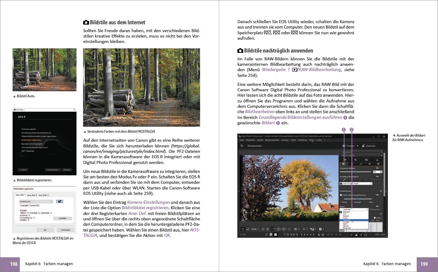 Beispielinhalt (Bild) Canon EOS R - Für bessere Fotos von Anfang an