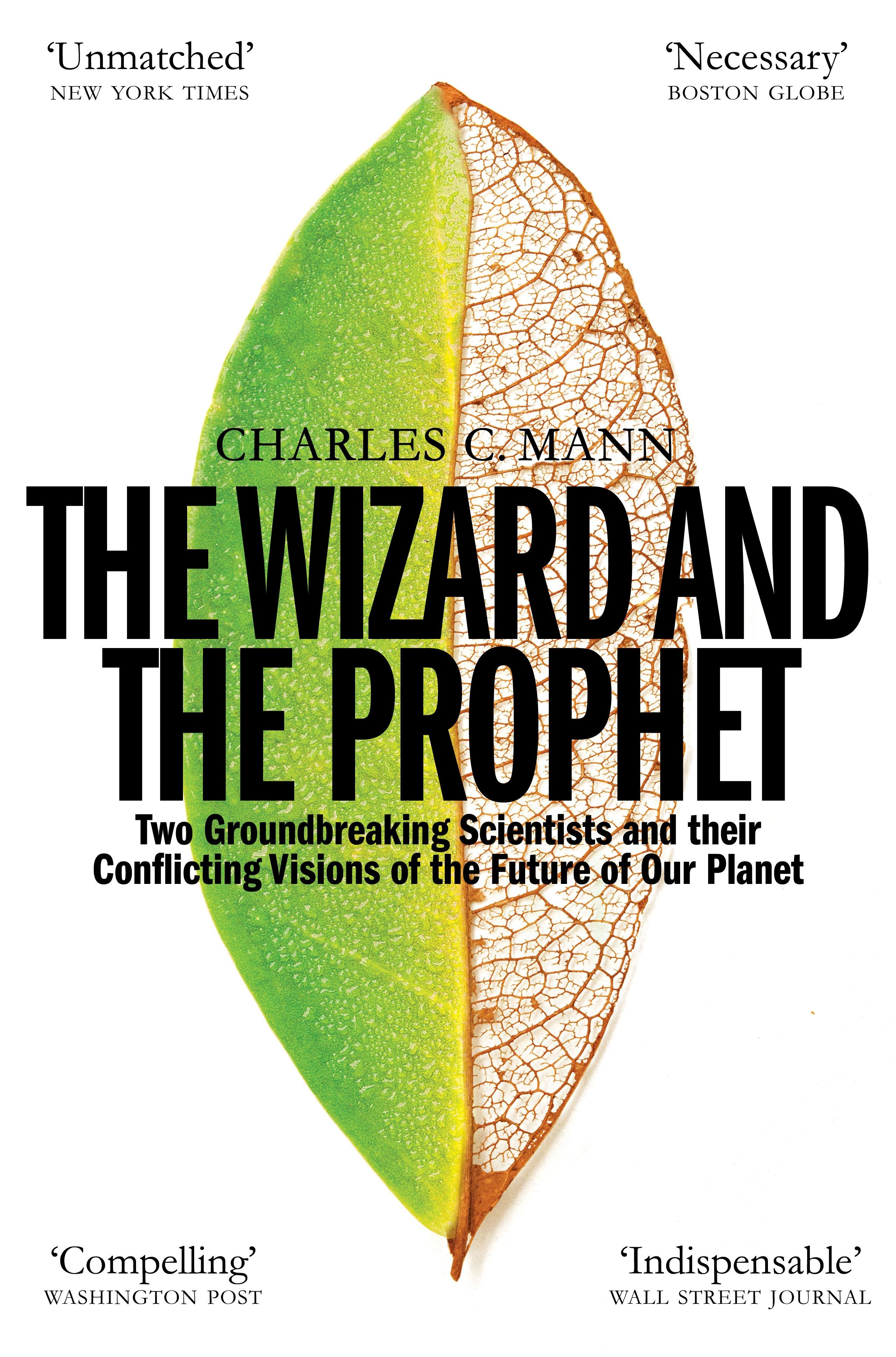 Vorderes Coverbild The Wizard and the Prophet