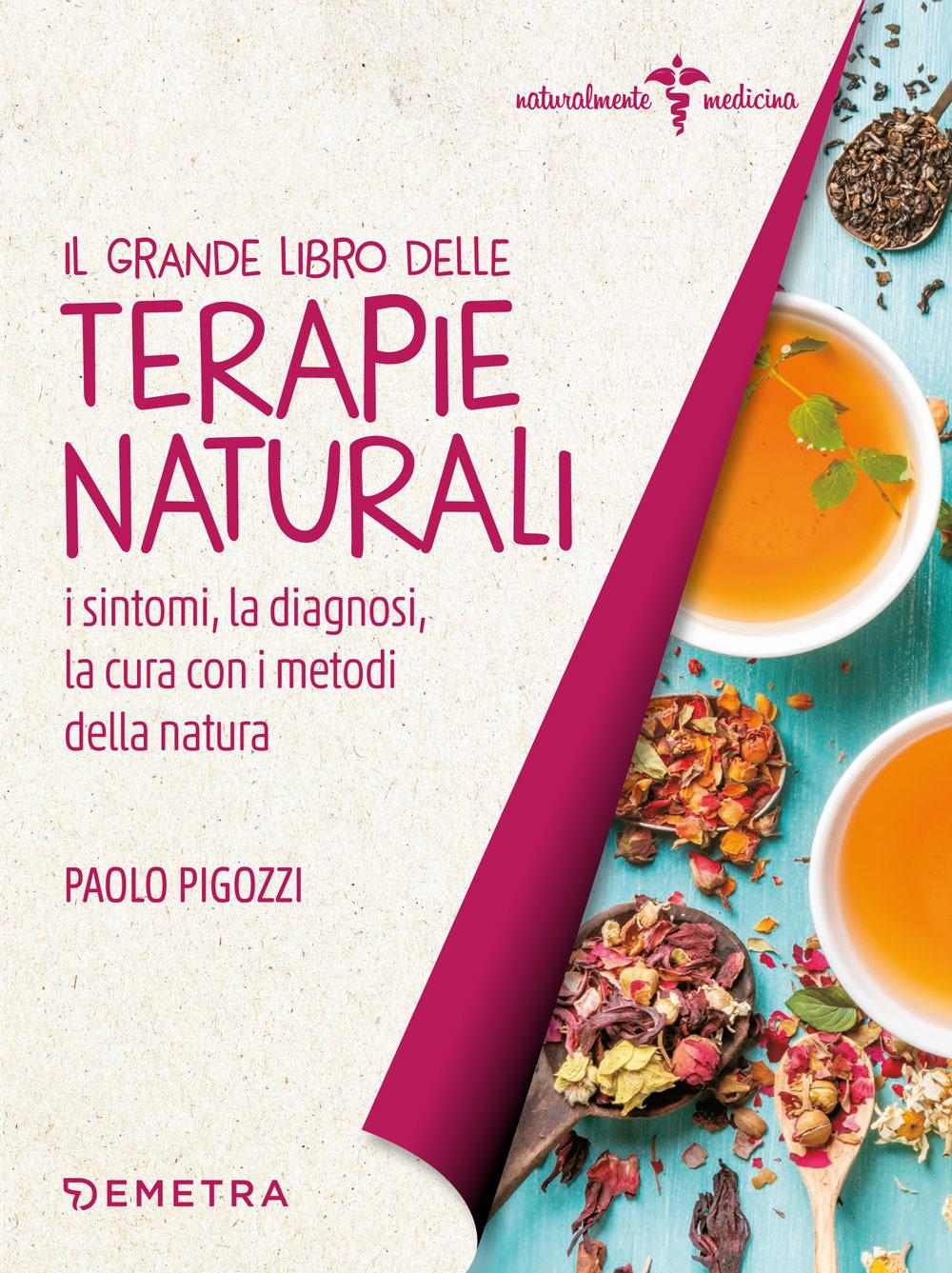 Vorderes Coverbild Il grande libro delle terapie naturali. I sintomi, la diagnosi, la cura con i metodi della natura