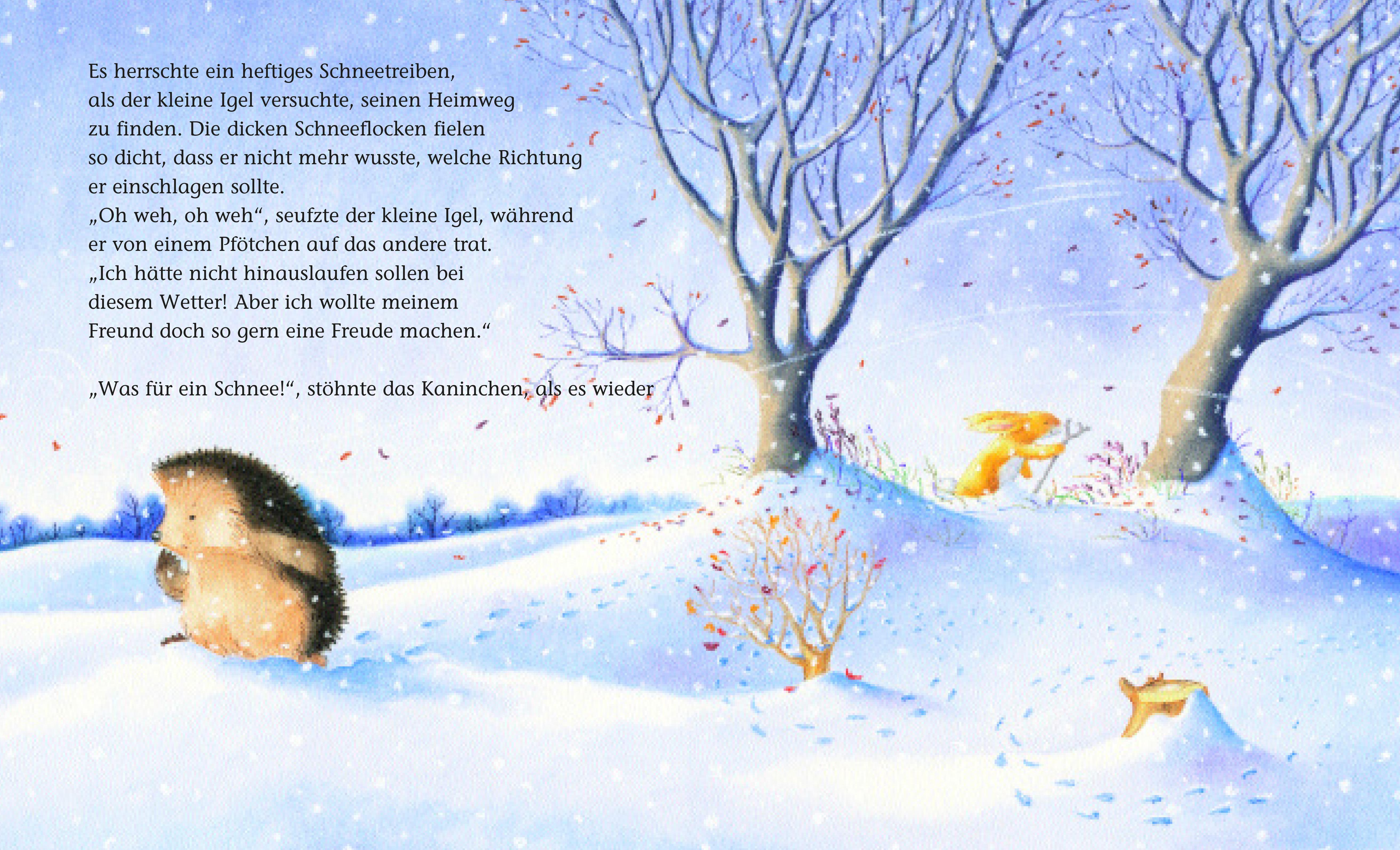Beispielinhalt (Bild) Der kleine Igel und die rote Mütze