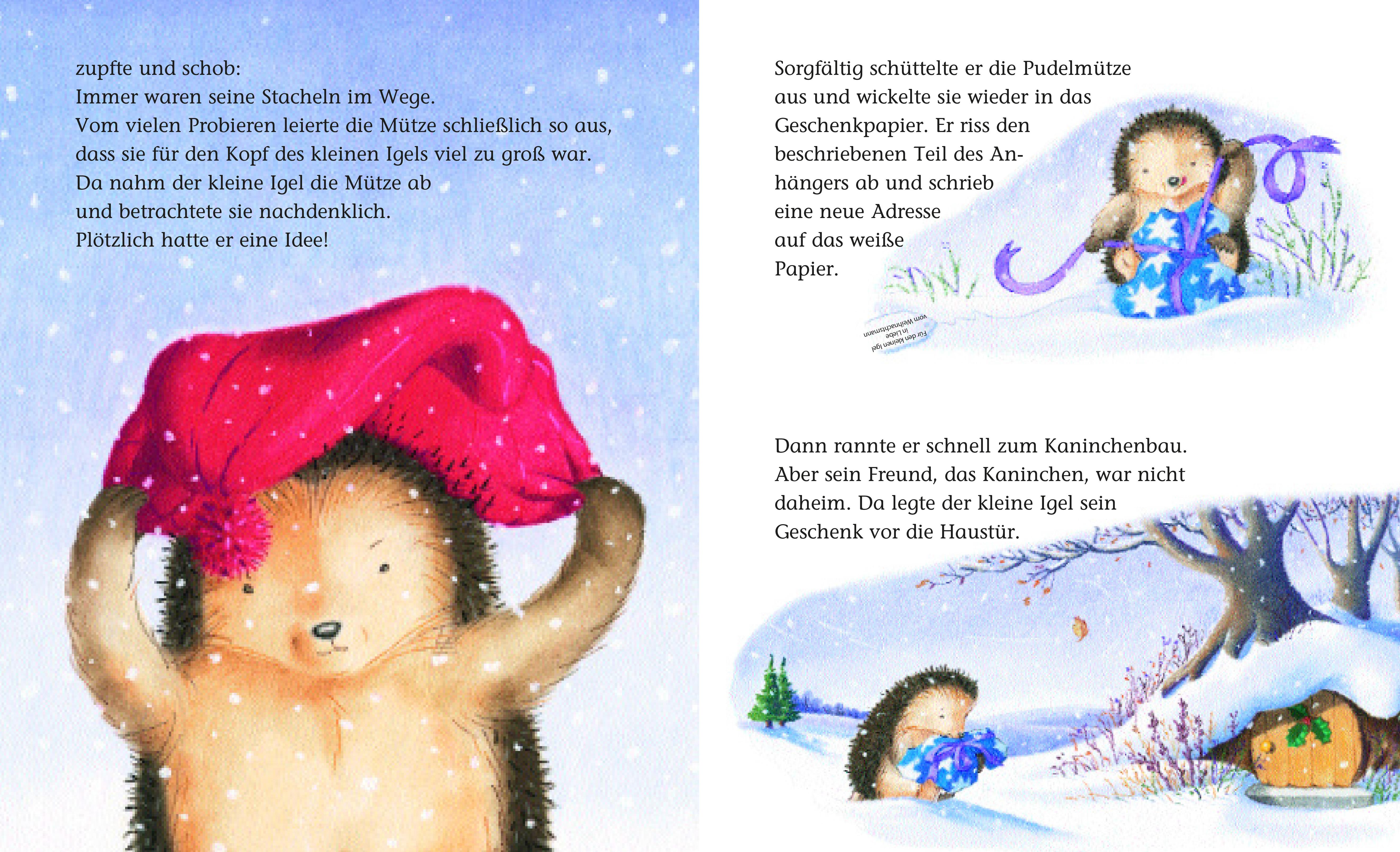 Beispielinhalt (Bild) Der kleine Igel und die rote Mütze