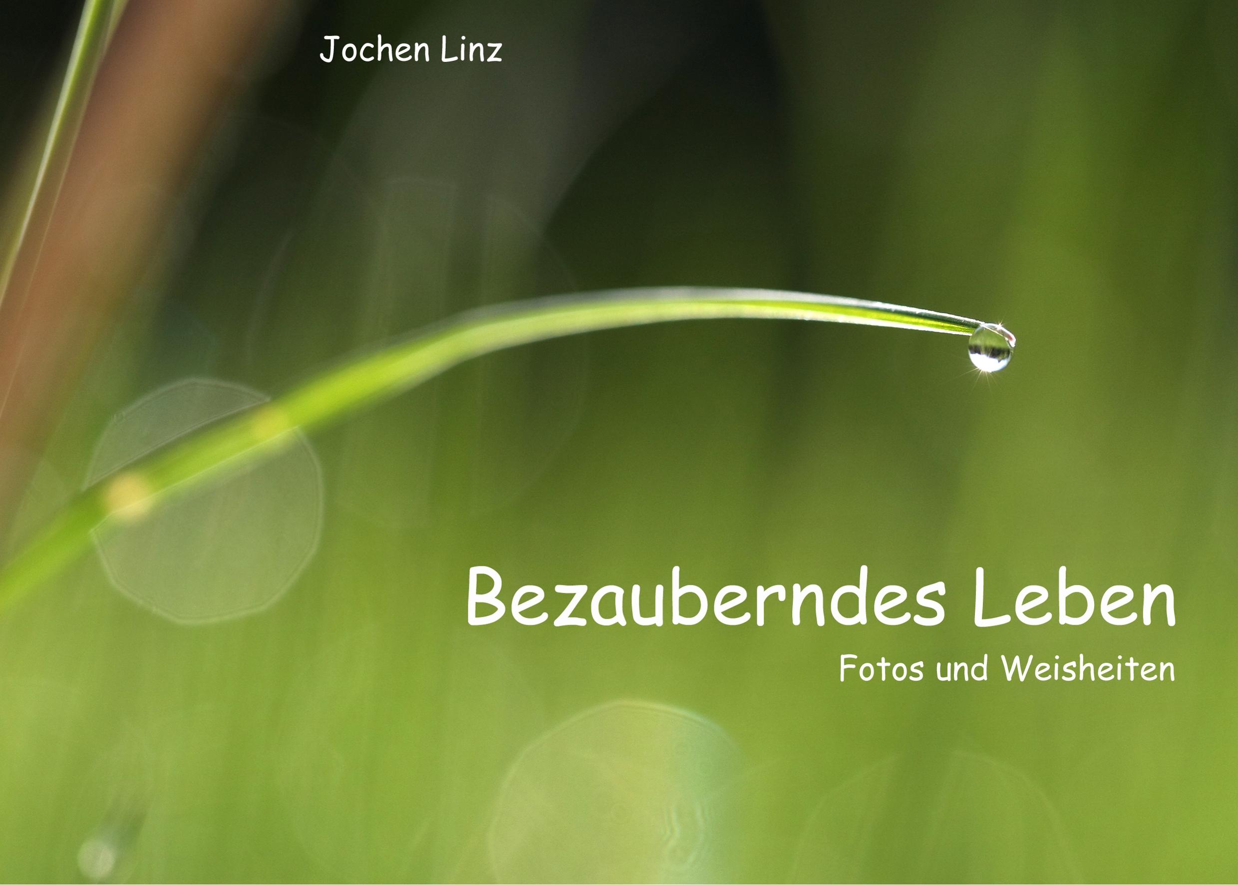 Vorderes Coverbild Bezauberndes Leben