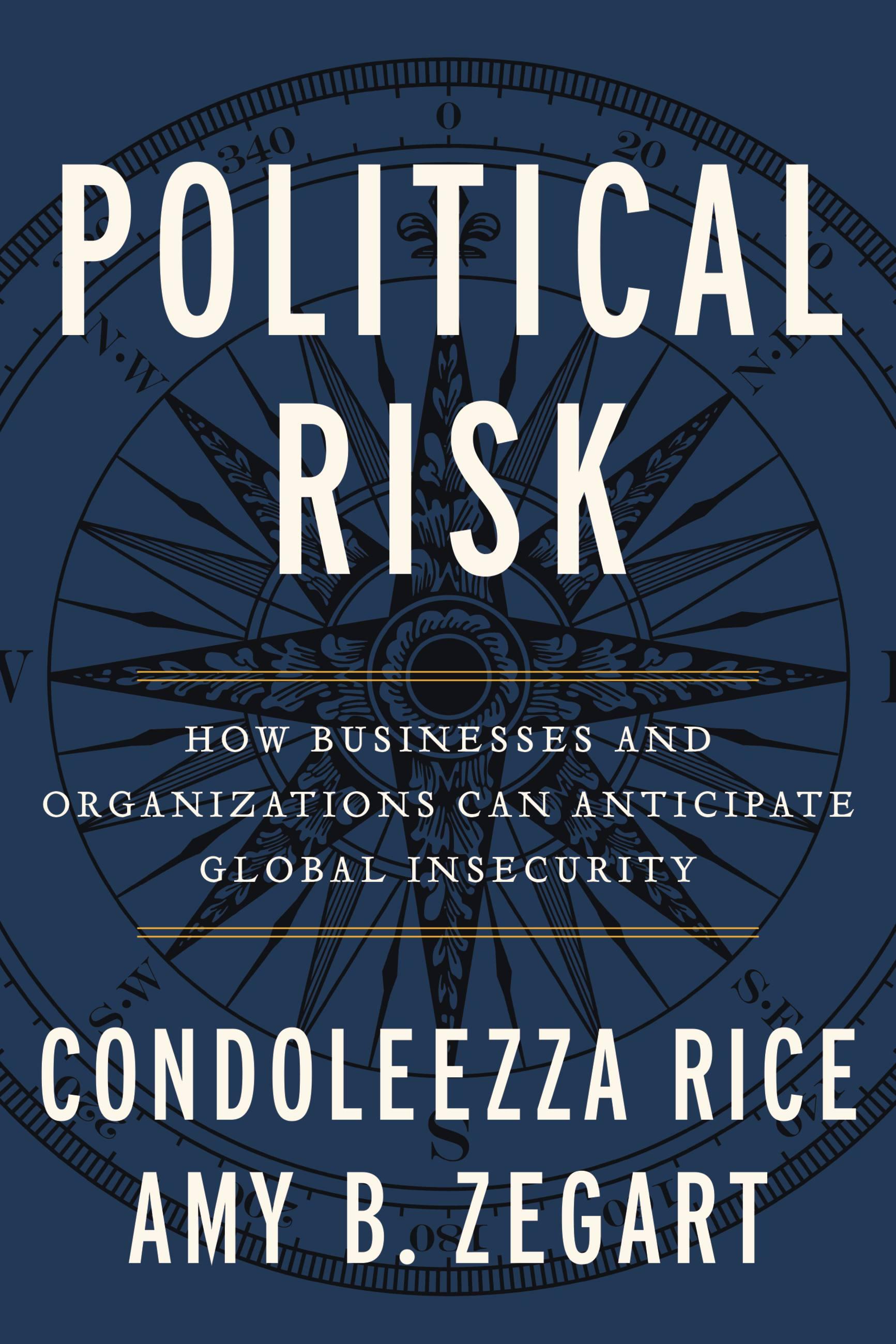 Vorderes Coverbild Political Risk