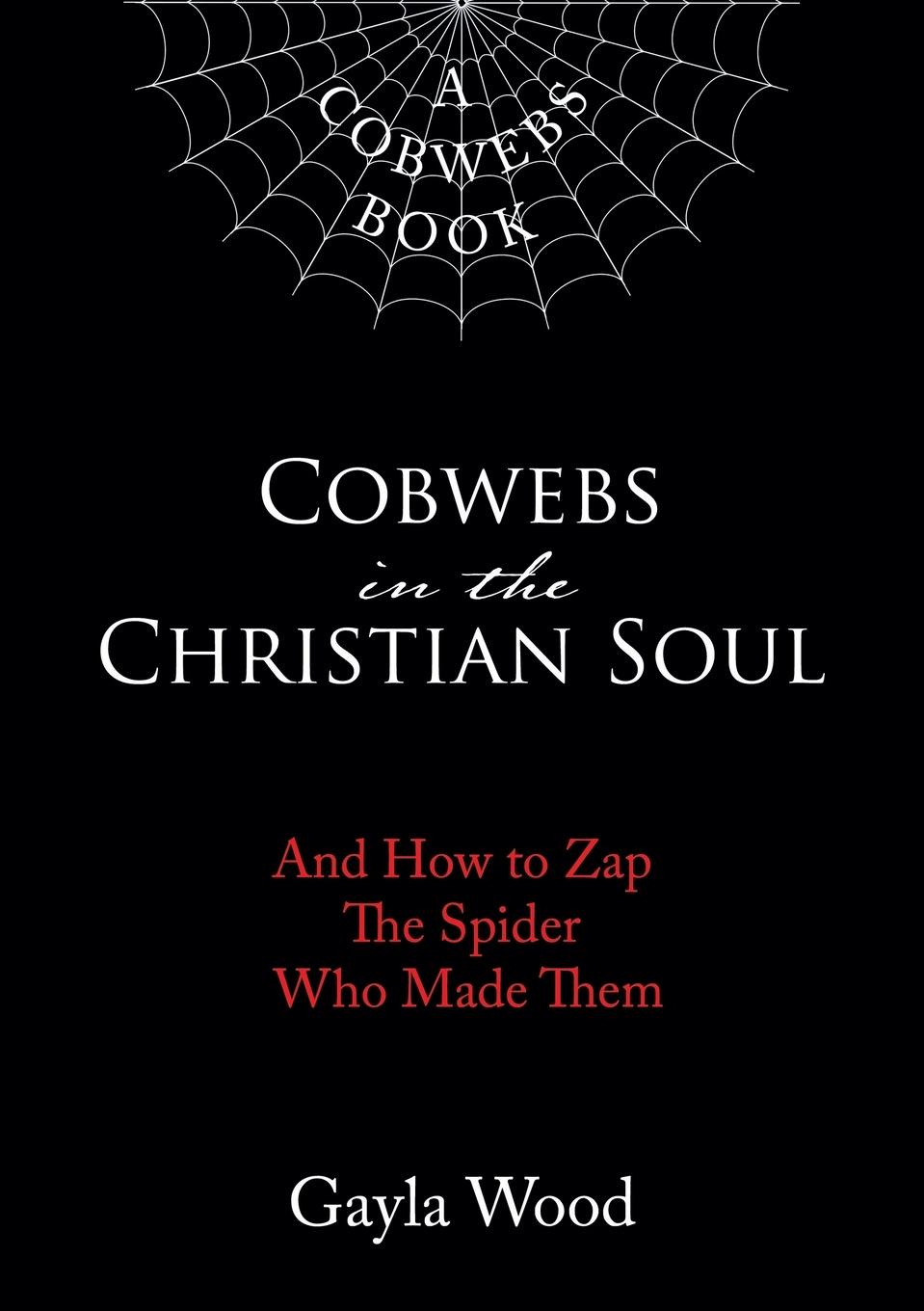Vorderes Coverbild Cobwebs in the Christian Soul
