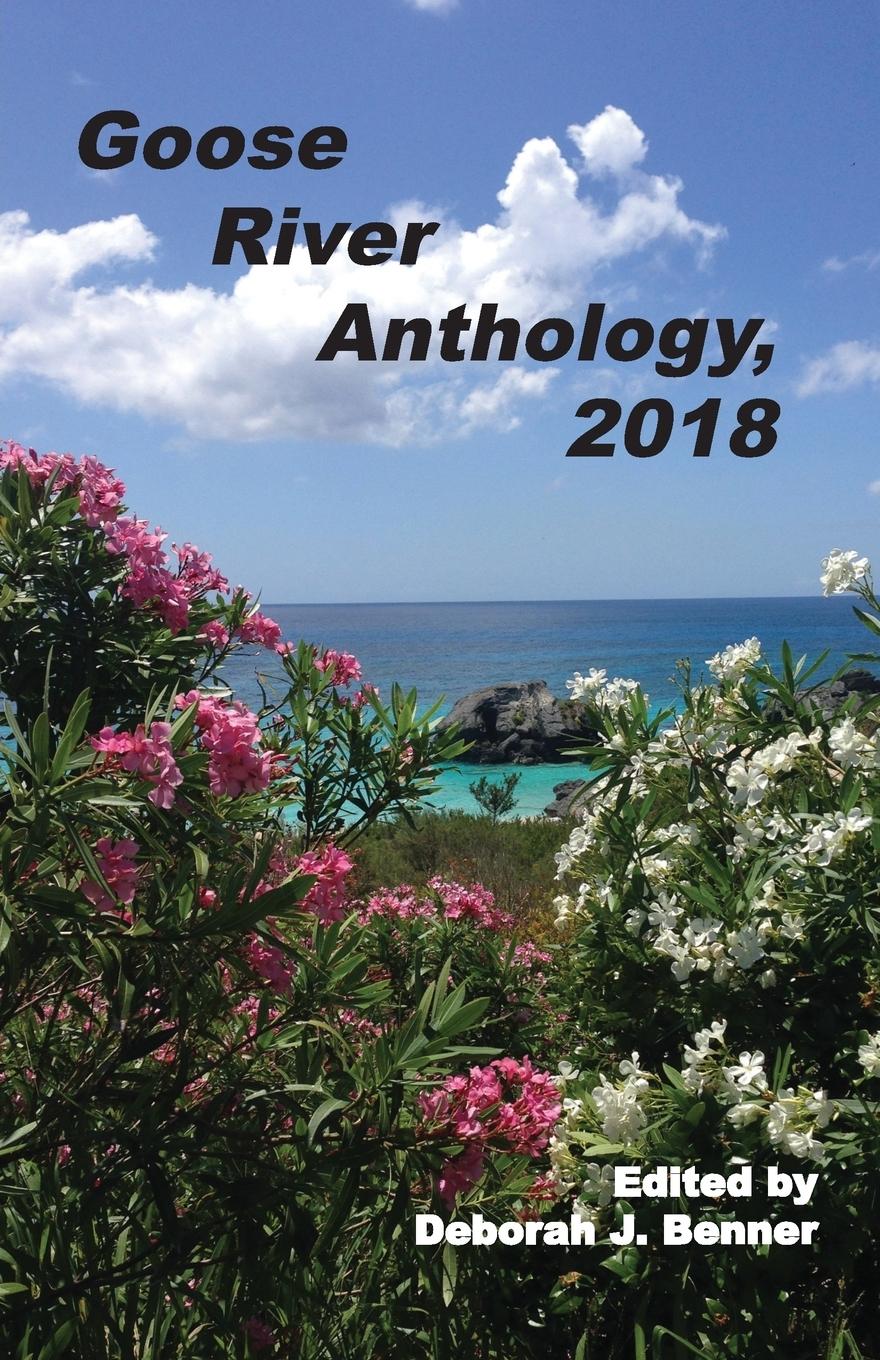 Vorderes Coverbild Goose River Anthology, 2018