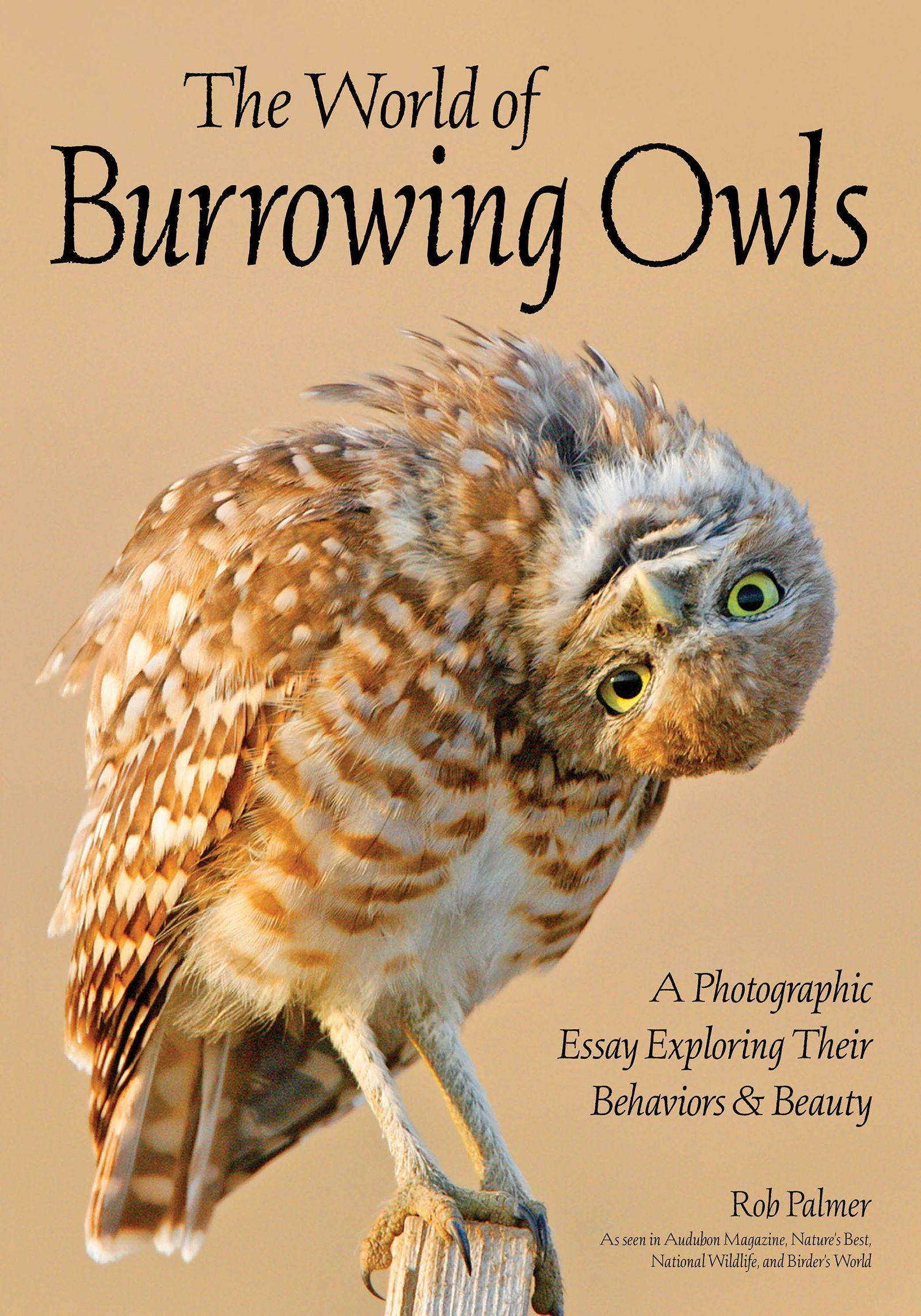 Vorderes Coverbild The World of Burrowing Owls
