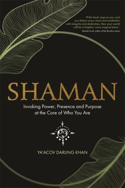 Vorderes Coverbild Shaman