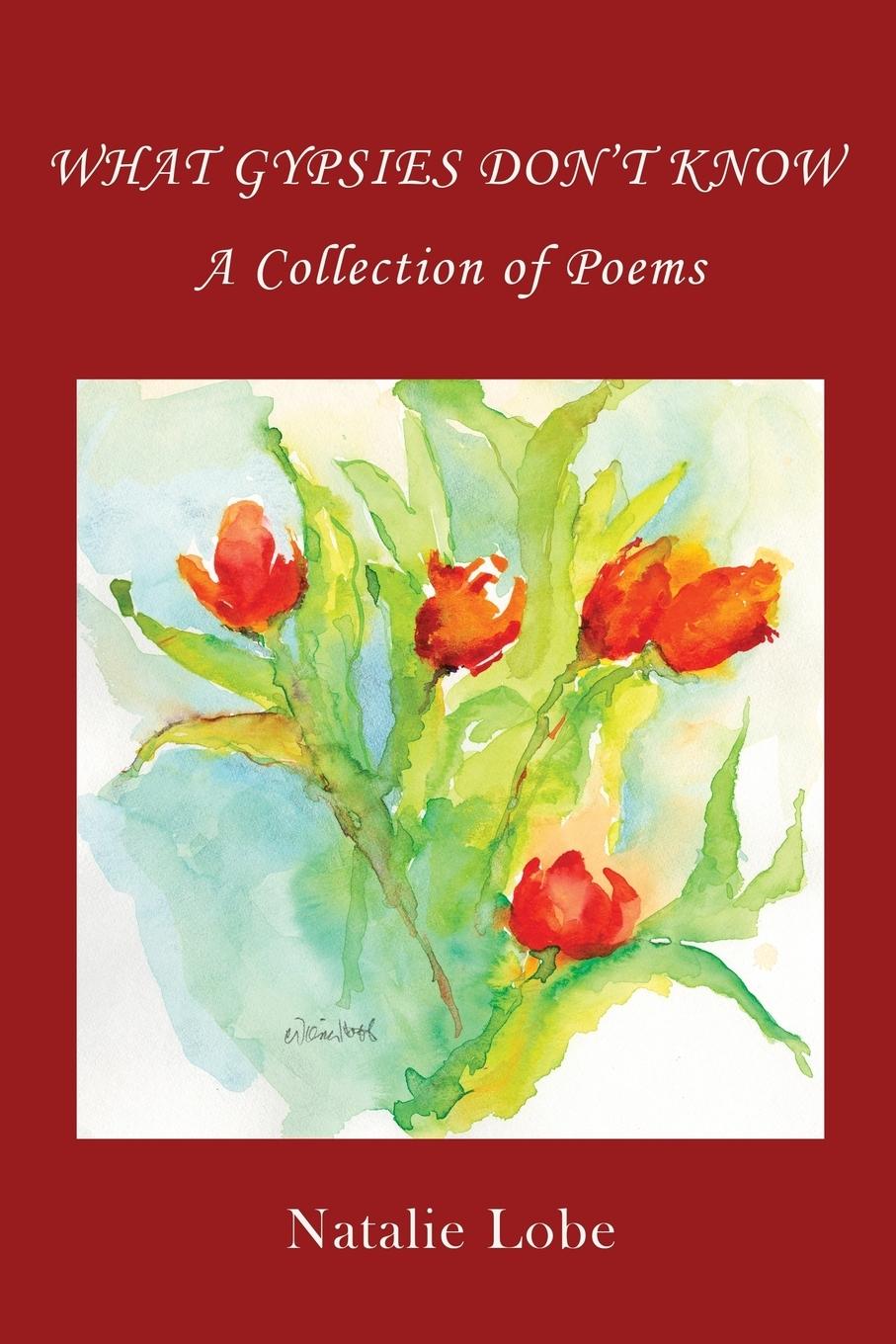 Vorderes Coverbild WHAT GYPSIES DON'T KNOW