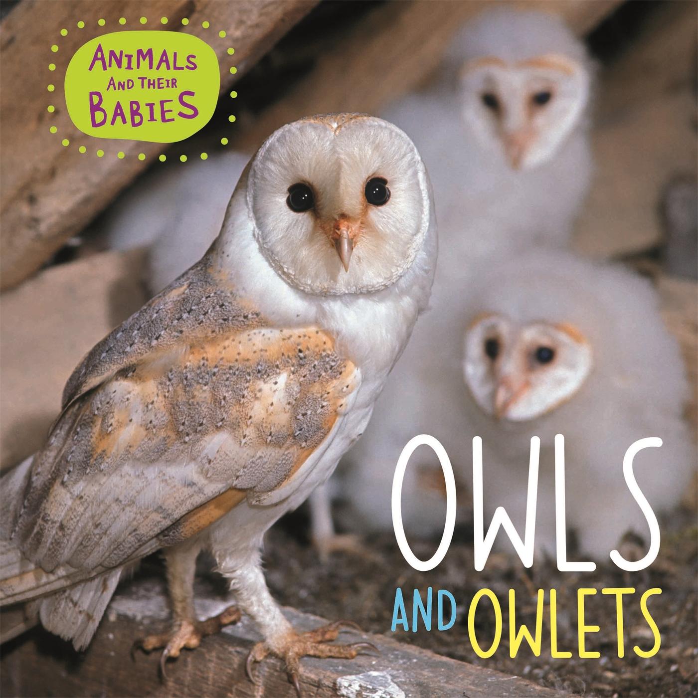 Vorderes Coverbild Animals and their Babies: Owls & Owlets