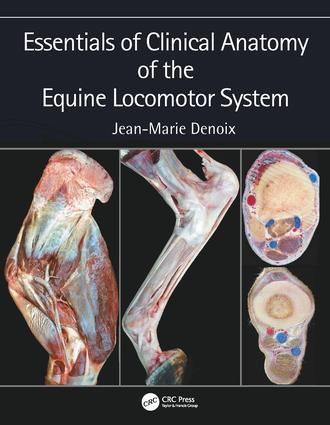 Vorderes Coverbild Essentials of Clinical Anatomy of the Equine Locomotor System