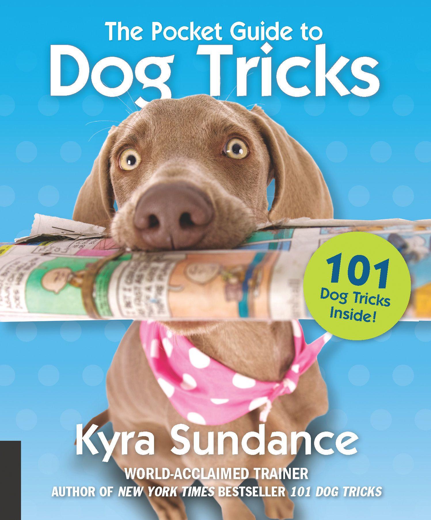Vorderes Coverbild The Pocket Guide to Dog Tricks